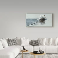 Zaštitni znak likovne umjetnosti 'Swalling labud' platno umjetnost Ron Parker
