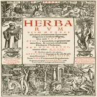 Herbarum vivae eicones, naslovnica, tisak plakata 16. stoljeća po znanstvenom izvoru