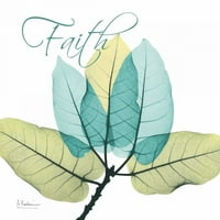 Poster Faith Ficus Berkie Alberta Ketsiera