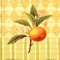 Botanički narančasti likovni plakat tisak