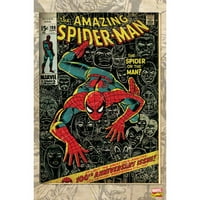 Canvas Art Work Spider-Man, 21.5 32.5