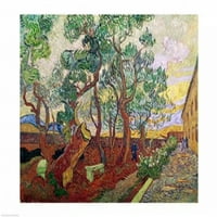 Posterazzi balxir142142Large The Garden of St. Pauls u bolnici St. Remy Poster Poster tiska Vincent Van Gogh -