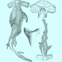 Hammerhead morski pas, zubi i morska biologija ilustracija žensko ocean plave grafički tenk tenk vrh - dizajn