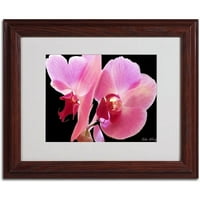 Zaštitni znak Art 'Orchid' Matted Framed Art od strane Kathie McCurdy