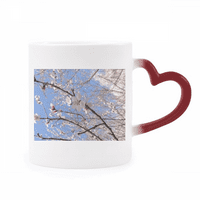 Cvjetanje trešnje grana fotografija toplina osjetljiva šalica crvena boja za promjenu boje kamena šalica