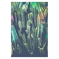 Ispis slike kaktus jungle na omotanom platnu