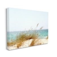 Plaža stupell trska morska obala vjetrovita Obala pejzažno slikarstvo Galerija zamotano platno ispis zidna umjetnost