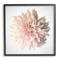 Apstraktni cvijet Dalije, ružičaste osunčane latice, slika u crnom okviru, zidni tisak, dizajn Michelle Norman