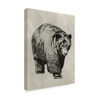 Zaštitni znak likovna umjetnost 'olovka i tinta medvjed I' platno umjetnost Naomi McCavitt