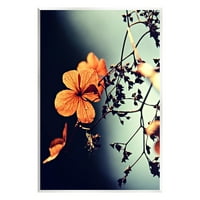 Suncem obasjana fotografija s detaljnim cvjetnim laticama, umjetnički tisak bez okvira, zidna umjetnost, dizajn