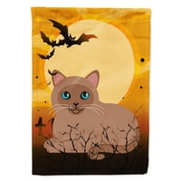 > 4458 > zastava Tonkinese Mačke za Noć vještica, veličina vrta mala, višebojna