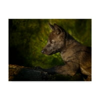 Likovna umjetnost s potpisom štene crnog vuka na platnu iz mumbo-a