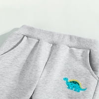 Biayxms Toddler dojenčadi Dječake hlače setovi setovi s dugim rukavima Dinosaur TwingHirt Tops i Elastic Band