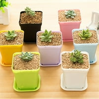 Mini obojeni kvadratni lonac s paletom za kaktuse i sukulente, spremnik za kućne biljke