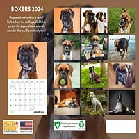 Boksački kalendar Kalendar darova za psa boksač