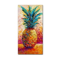 Prepoznatljiva likovna umjetnost izraz ananasa na platnu Marion Rose