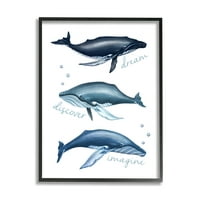 Predstavite inspirativnu tipografiju uokvirenih kitova na zidu, 30, dizajn Elizabeth Tindall
