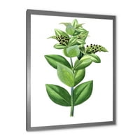 DesignArt 'Drevni zeleni listovi biljke vi' tradicionalni uokvireni umjetnički tisak