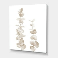 Sive eukaliptus grane na bijeloj slikarskoj platnu platno umjetnički tisak