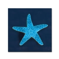 Zaštitni znak likovna umjetnost 'Cyanotip Sea III' platno umjetnost Sue Schlabach