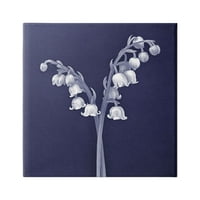 Stupell Industries Lily of Valley White Bloops Blooms Ilustracija slikanja galerija zamotana platna za tisak zidne