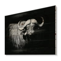 Designart 'crno -bijeli portret tiska Buffalo I' Farmhouse na prirodnom borovom drvetu