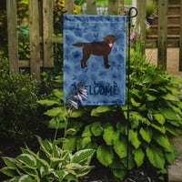 $ 6072 $ čokoladni labrador retriver $ veličina vrta, mali, Višebojni