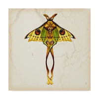 Zaštitni znak likovna umjetnost 'Studija leptira I' platno umjetnost Melissa Wang