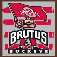 Collegiate - Buckeyes Sveučilišta Ohio - Brutus