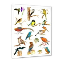 DesignArt 'vitalne ptice u boji Plancard' Tradicionalni uokvireni umjetnički tisak