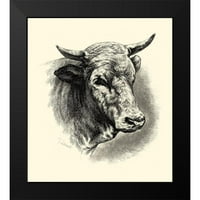 Lehnert, F. Crni moderni uokvireni muzejski umjetnički tisak pod nazivom - Antička goveda II