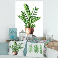 Tropska biljka Zamioculcas sa zelenim lišćem na bijelom platnu za slikanje umjetnički tisak